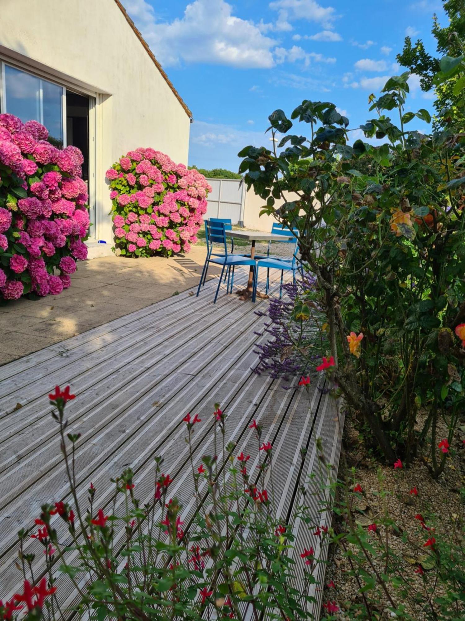 Villa de la Cible Saint-Martin-de-Ré Extérieur photo